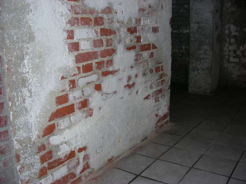 BAU.DE / BAU-Forum: 2. Bild zu Antwort "Zusatzinfo: Gesund wohnen in Altbauten &ndash; Feuchte & Schwammsch&auml;den" auf die Frage "Bau-Ratgeber f&uuml;r Laien: Bauweisen, Bauteile & TGA erkl&auml;rt &ndash; mit Kosten&uuml;bersicht?" im BAU-Forum "Modernisierung / Sanierung / Bausch&auml;den"