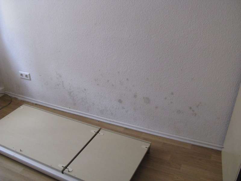 BAU.DE / BAU-Forum: 1. Bild zu Frage "Calciumsilikatplatten gegen Schimmel: Richtige Anbringung, Kosten & Risiken?" im BAU-Forum "Modernisierung / Sanierung / Bausch&auml;den"