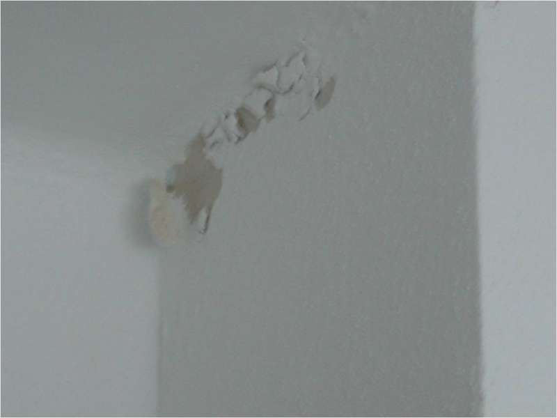 BAU.DE / BAU-Forum: 2. Bild zu Frage "Putz l&ouml;st sich von der Wand: Ursachenforschung, M&auml;ngelbeseitigung & Kosten im Altbau?" im BAU-Forum "Modernisierung / Sanierung / Bausch&auml;den"