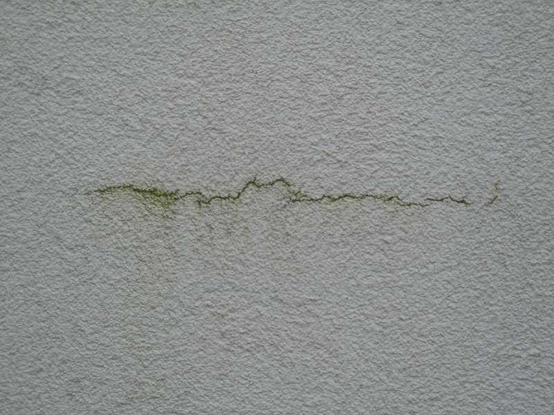 BAU.DE / BAU-Forum: 1. Bild zu Antwort "Fassadenrisse: 0,5 mm Breite bei organischem Putz m&ouml;glich?" auf die Frage "Fassadenrisse im Neubau: Ursachen, Sanierungskosten & Gew&auml;hrleistungsanspr&uuml;che?" im BAU-Forum "Modernisierung / Sanierung / Bausch&auml;den"