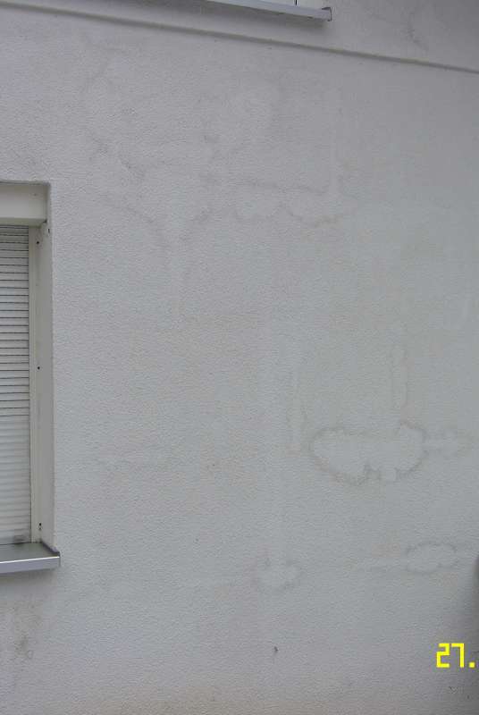 BAU.DE / BAU-Forum: 1. Bild zu Antwort "WDVS N&auml;sseschaden: Klebeverfahren, Rondellend&uuml;bel & Ausf&uuml;hrung" auf die Frage "N&auml;sse im WDVS: Ursachen, Folgen & Sanierung von W&auml;rmed&auml;mmverbundsystemen an Fassaden?" im BAU-Forum "Modernisierung / Sanierung / Bausch&auml;den"