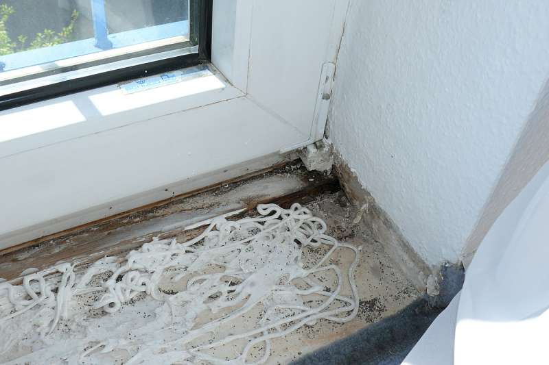 BAU.DE / BAU-Forum: 1. Bild zu Antwort "Fensterrahmen undicht: Wassereintritt durch Putz?" auf die Frage "Feuchtigkeit &uuml;ber Fenster im Reihenhaus: Ursachen, Sanierung & Kosten f&uuml;r Fassade?" im BAU-Forum "Modernisierung / Sanierung / Bausch&auml;den"