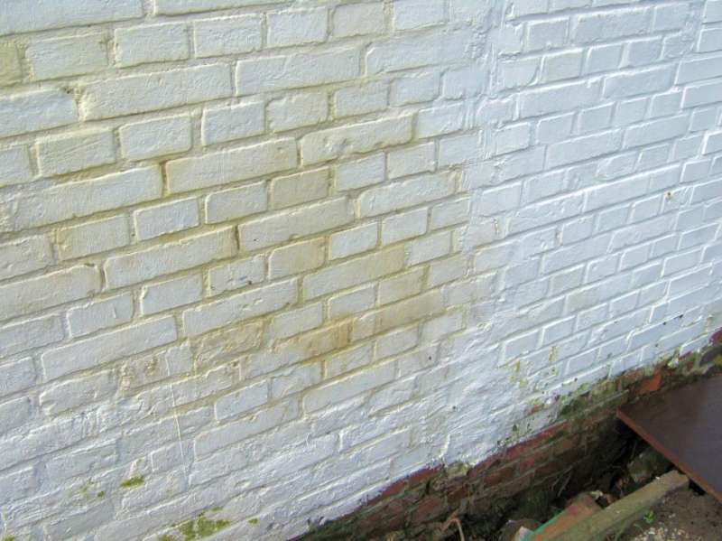 BAU.DE / BAU-Forum: 3. Bild zu Frage "Nasse Stallwand: Ursachen gelber Flecken? Analyse von Klinkerwand ohne Fundament" im BAU-Forum "Modernisierung / Sanierung / Bausch&auml;den"