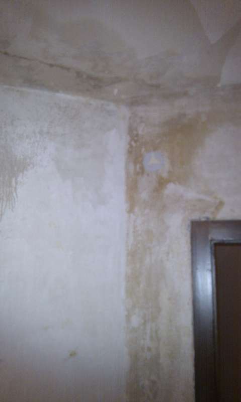 BAU.DE / BAU-Forum: 1. Bild zu Frage "Schornsteinversottung erkennen: Ursachen, Folgen & Sanierungskosten?" im BAU-Forum "Modernisierung / Sanierung / Bausch&auml;den"