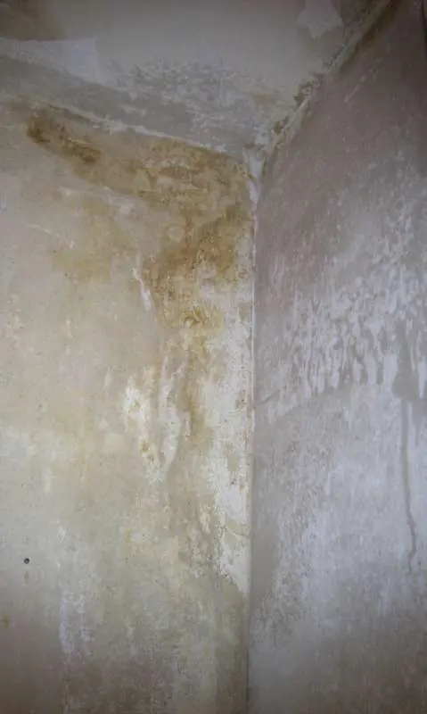 BAU.DE / BAU-Forum: 2. Bild zu Frage "Schornsteinversottung erkennen: Ursachen, Folgen & Sanierungskosten?" im BAU-Forum "Modernisierung / Sanierung / Bausch&auml;den"