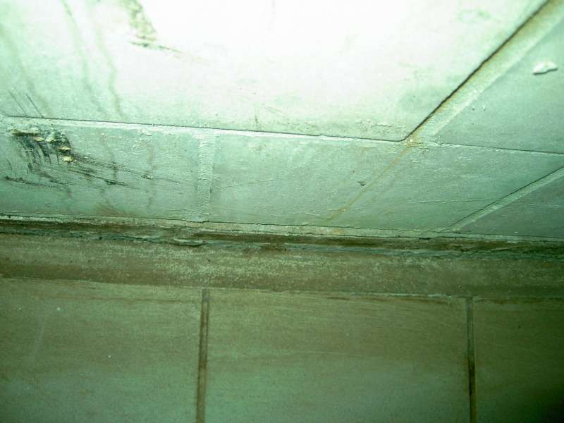 BAU.DE / BAU-Forum: 4. Bild zu Antwort "Wasserschaden: Fotos zeigen Zustand der Kellerw&auml;nde" auf die Frage "Wasserschaden im Keller: Ursachen, Folgen & Sanierungskosten nach Fallrohr-Fehler?" im BAU-Forum "Modernisierung / Sanierung / Bausch&auml;den"