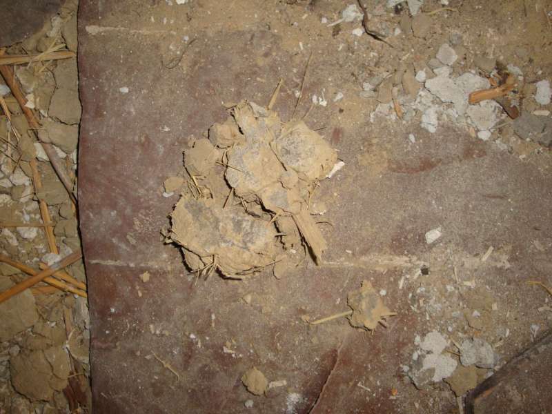 BAU.DE / BAU-Forum: 4. Bild zu Frage "Materialbestimmung: Was ist das f&uuml;r ein Baustoff? Analyse & Eigenschaften" im BAU-Forum "Modernisierung / Sanierung / Bausch&auml;den"