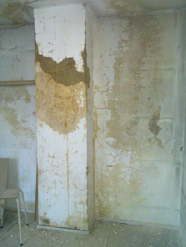 BAU.DE / BAU-Forum: 4. Bild zu Frage "Decke sanieren im Altbau: Aufbau, Kosten & Risiken bei Feuchtigkeitssch&auml;den?" im BAU-Forum "Modernisierung / Sanierung / Bausch&auml;den"