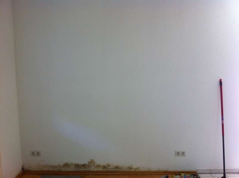 BAU.DE / BAU-Forum: 1. Bild zu Frage "Mikrowellenmessung Au&szlig;enwand: Genauigkeit, Vergleich mit Gerichtsgutachter & Risiken?" im BAU-Forum "Modernisierung / Sanierung / Bausch&auml;den"