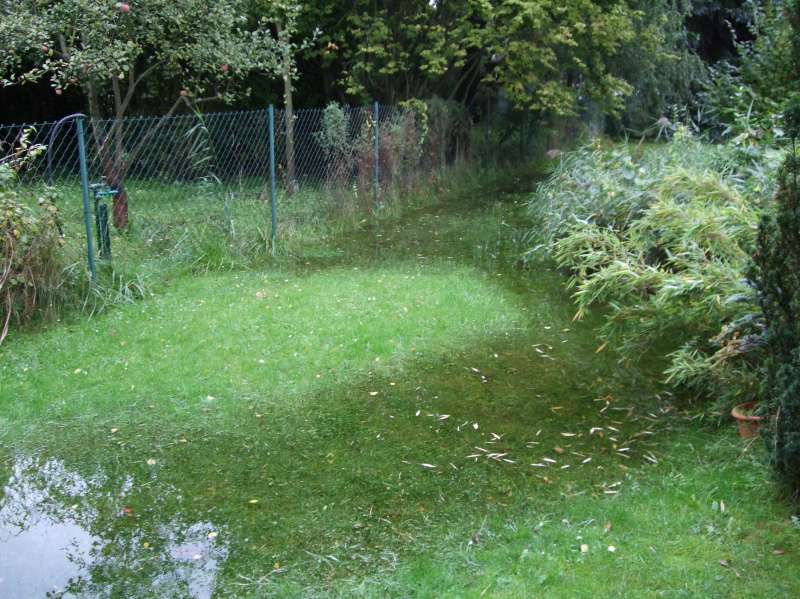 BAU.DE / BAU-Forum: 1. Bild zu Antwort "Feuchtigkeitsprobleme: Ursachenforschung &ndash; Mieterhistorie relevant" auf die Frage "Mikrowellenmessung Au&szlig;enwand: Genauigkeit, Vergleich mit Gerichtsgutachter & Risiken?" im BAU-Forum "Modernisierung / Sanierung / Bausch&auml;den"