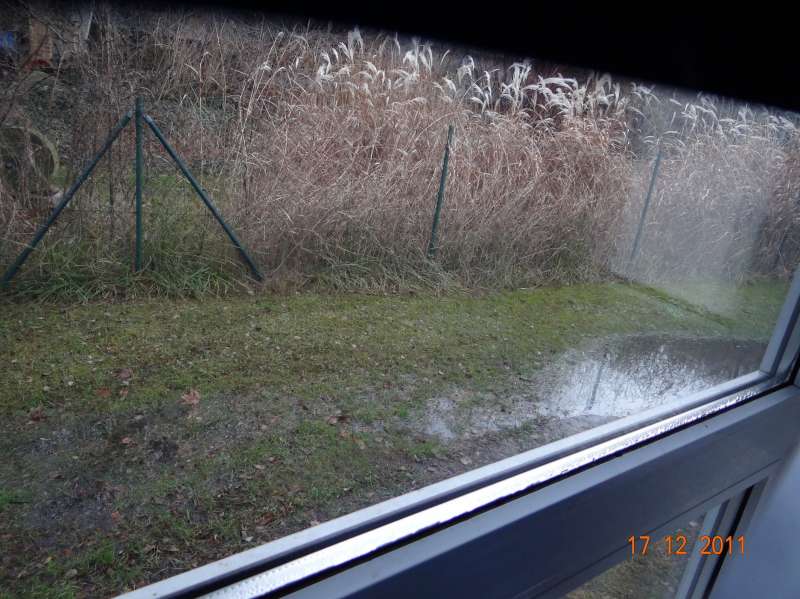 BAU.DE / BAU-Forum: 2. Bild zu Antwort "Feuchtigkeitsprobleme: Ursachenforschung &ndash; Mieterhistorie relevant" auf die Frage "Mikrowellenmessung Au&szlig;enwand: Genauigkeit, Vergleich mit Gerichtsgutachter & Risiken?" im BAU-Forum "Modernisierung / Sanierung / Bausch&auml;den"