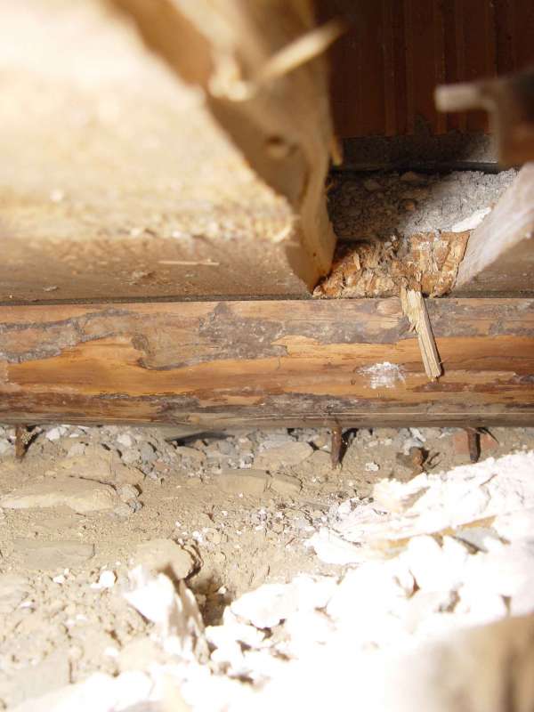 BAU.DE / BAU-Forum: 2. Bild zu Frage "Wind im Wandaufbau: Ursachen, Folgen & Sanierung bei Altbau (Bj. 1900)?" im BAU-Forum "Modernisierung / Sanierung / Bausch&auml;den"