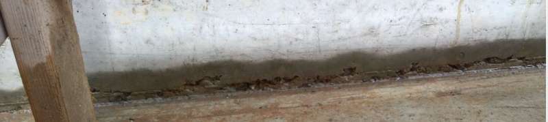 BAU.DE / BAU-Forum: 5. Bild zu Antwort "Bilder #4" auf die Frage "Bauschäden nach 2 Wochen: Ursachen, Risiken & Sofortmaßnahmen?" im BAU-Forum "Modernisierung / Sanierung / Bauschäden" BAU.DE / BAU-Forum: 5. Bild zu Antwort "Bilder #4" auf die Frage "Bauschäden nach 2 Wochen: Ursachen, Risiken & Sofortmaßnahmen?" im BAU-Forum "Modernisierung / Sanierung / Bauschäden"