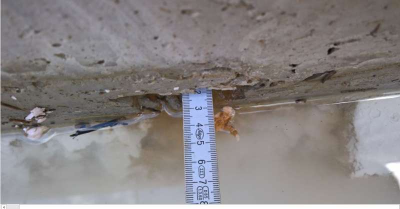 BAU.DE / BAU-Forum: 2. Bild zu Antwort "Bilder #5" auf die Frage "Bauschäden nach 2 Wochen: Ursachen, Risiken & Sofortmaßnahmen?" im BAU-Forum "Modernisierung / Sanierung / Bauschäden" BAU.DE / BAU-Forum: 2. Bild zu Antwort "Bilder #5" auf die Frage "Bauschäden nach 2 Wochen: Ursachen, Risiken & Sofortmaßnahmen?" im BAU-Forum "Modernisierung / Sanierung / Bauschäden"