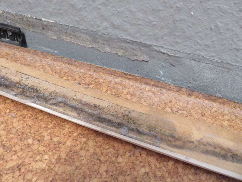 BAU.DE / BAU-Forum: 1. Bild zu Frage "Schimmel hinter Dusche: Ursachen, Sanierung & Risiken f&uuml;r Bad-W&auml;nde?" im BAU-Forum "Modernisierung / Sanierung / Bausch&auml;den"