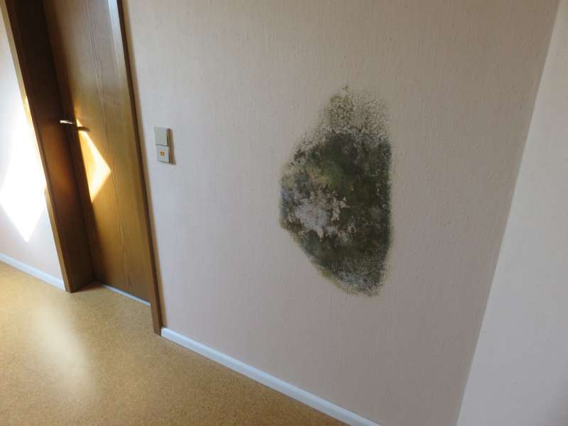 BAU.DE / BAU-Forum: 2. Bild zu Frage "Schimmel hinter Dusche: Ursachen, Sanierung & Risiken f&uuml;r Bad-W&auml;nde?" im BAU-Forum "Modernisierung / Sanierung / Bausch&auml;den"