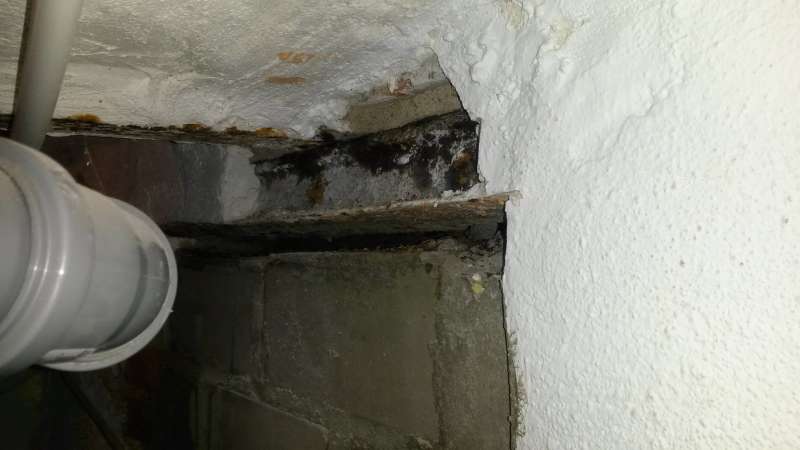 BAU.DE / BAU-Forum: 2. Bild zu Frage "Kellerfenster zumauern: Fenstersturz sanieren, Kosten & Anleitung?" im BAU-Forum "Modernisierung / Sanierung / Bausch&auml;den"