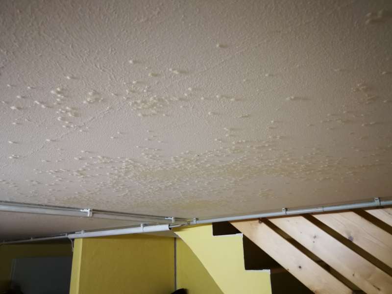 BAU.DE / BAU-Forum: 4. Bild zu Frage "Schimmel oder Ausbl&uuml;hungen an Kellerdecke? Ursachen, Gefahren & Beseitigung" im BAU-Forum "Modernisierung / Sanierung / Bausch&auml;den"