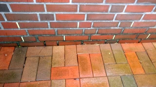 BAU.DE / BAU-Forum: 1. Bild zu Frage "Feuchte Au&szlig;enwand: Ursachen erkennen, Sch&auml;den vermeiden & Sanierungskosten?" im BAU-Forum "Modernisierung / Sanierung / Bausch&auml;den"