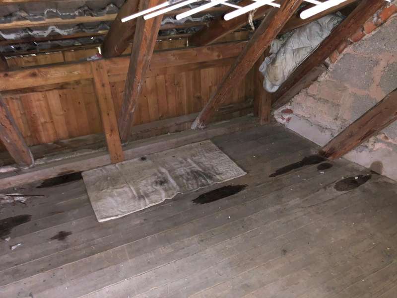 BAU.DE / BAU-Forum: 4. Bild zu Frage "Dachsanierung & Mauerwerk: Kosten, Zustand pr&uuml;fen & Risiken bei Altbau?" im BAU-Forum "Modernisierung / Sanierung / Bausch&auml;den"