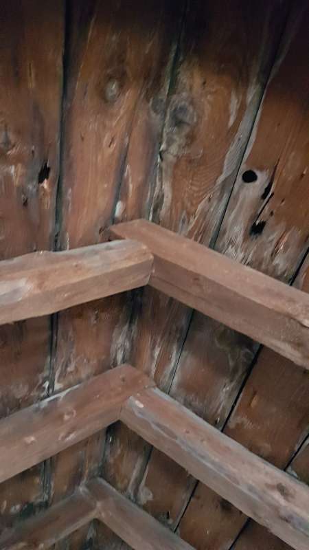 BAU.DE / BAU-Forum: 4. Bild zu Frage "Holzbock in alten Holzbalken? Erkennung, Risiken & Behandlungskosten im Altbau" im BAU-Forum "Modernisierung / Sanierung / Bausch&auml;den"