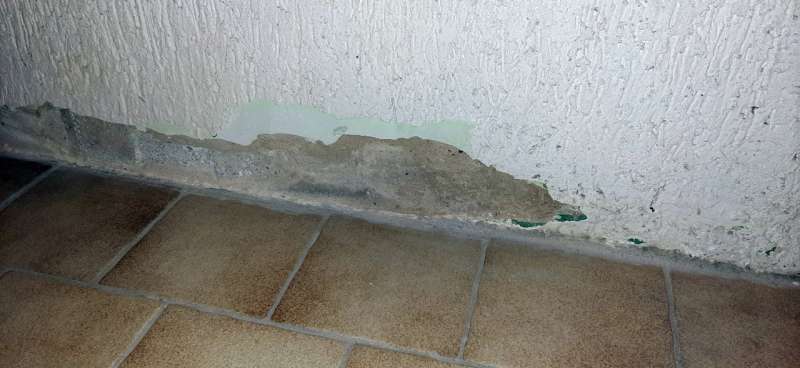 BAU.DE / BAU-Forum: 2. Bild zu Frage "Feuchte Kellerwand: Ursachen, Sanierung & Dichtschl&auml;mme f&uuml;r die erste Steinreihe?" im BAU-Forum "Modernisierung / Sanierung / Bausch&auml;den"