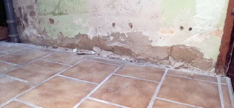 BAU.DE / BAU-Forum: 3. Bild zu Frage "Feuchte Kellerwand: Ursachen, Sanierung & Dichtschl&auml;mme f&uuml;r die erste Steinreihe?" im BAU-Forum "Modernisierung / Sanierung / Bausch&auml;den"