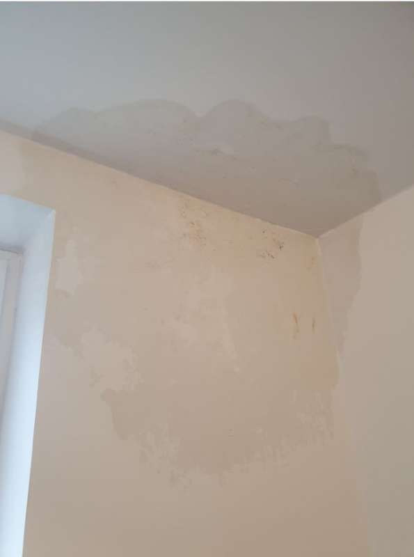 BAU.DE / BAU-Forum: 2. Bild zu Frage "Wassereintritt Fassade: Ursachen, Folgen & Sanierungskosten im Altbau?" im BAU-Forum "Modernisierung / Sanierung / Bausch&auml;den"