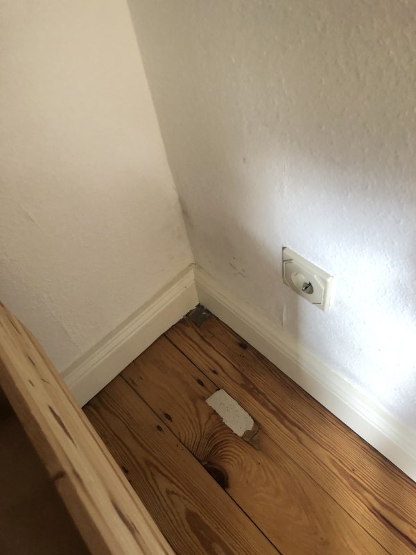 BAU.DE / BAU-Forum: 2. Bild zu Frage "Schimmel in Speisekammer: Ursachen finden & richtig entfernen &ndash; Tipps zur Vorbeugung" im BAU-Forum "Modernisierung / Sanierung / Bausch&auml;den"