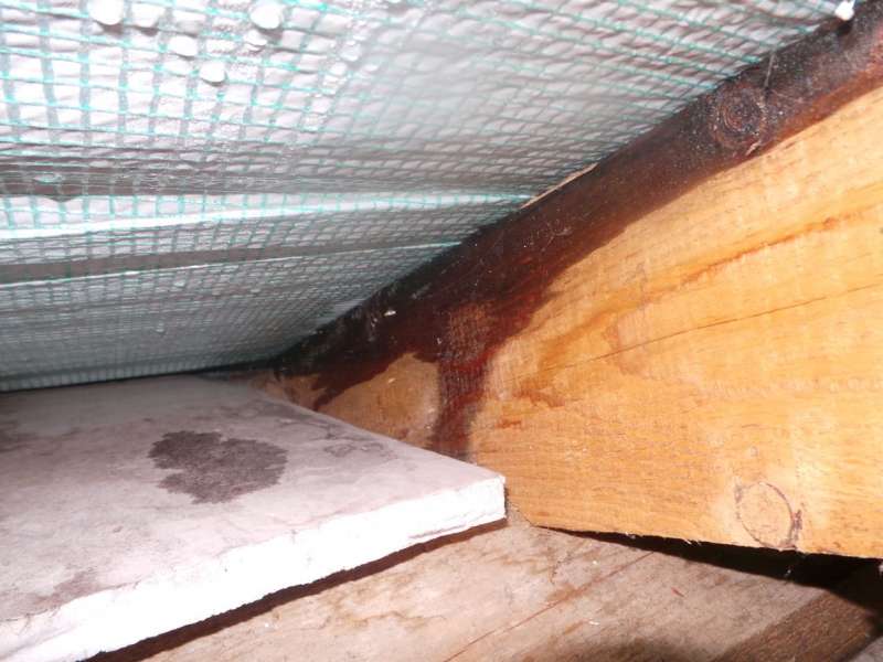 BAU.DE / BAU-Forum: 3. Bild zu Antwort "Feuchtigkeit im Dach: Details zu Aufbau, D&auml;mmung & Ursachen" auf die Frage "Feuchtigkeit im Dachboden: Ursachen, Sanierung der Dampfbremse & Kosten?" im BAU-Forum "Modernisierung / Sanierung / Bausch&auml;den"