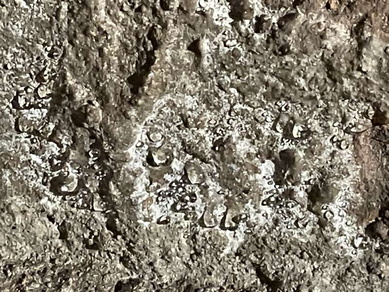 BAU.DE / BAU-Forum: 1. Bild zu Frage "Gew&ouml;lbekeller Trocknung nach Wasserschaden: Ursachen, Ma&szlig;nahmen & Kosten?" im BAU-Forum "Modernisierung / Sanierung / Bausch&auml;den"