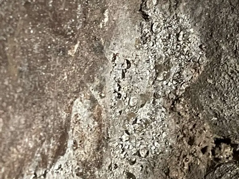 BAU.DE / BAU-Forum: 2. Bild zu Frage "Gew&ouml;lbekeller Trocknung nach Wasserschaden: Ursachen, Ma&szlig;nahmen & Kosten?" im BAU-Forum "Modernisierung / Sanierung / Bausch&auml;den"