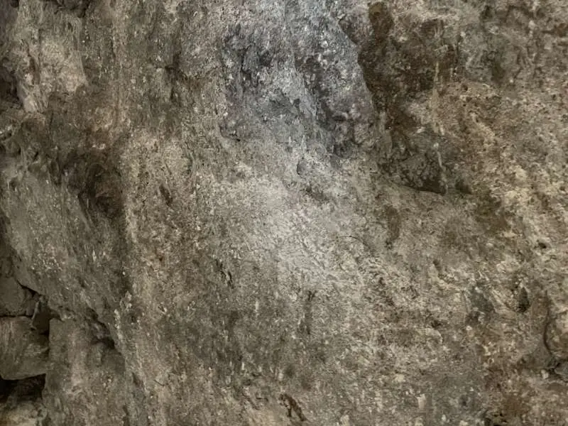 BAU.DE / BAU-Forum: 4. Bild zu Frage "Gew&ouml;lbekeller Trocknung nach Wasserschaden: Ursachen, Ma&szlig;nahmen & Kosten?" im BAU-Forum "Modernisierung / Sanierung / Bausch&auml;den"