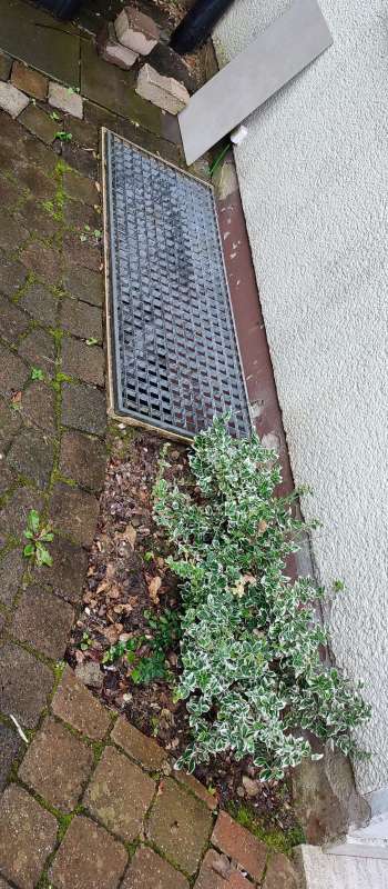 BAU.DE / BAU-Forum: 1. Bild zu Frage "Sockelbereich sanieren: Ursachen, Vorgehen & Kosten f&uuml;r Bimsstein-Mauerwerk?" im BAU-Forum "Modernisierung / Sanierung / Bausch&auml;den"