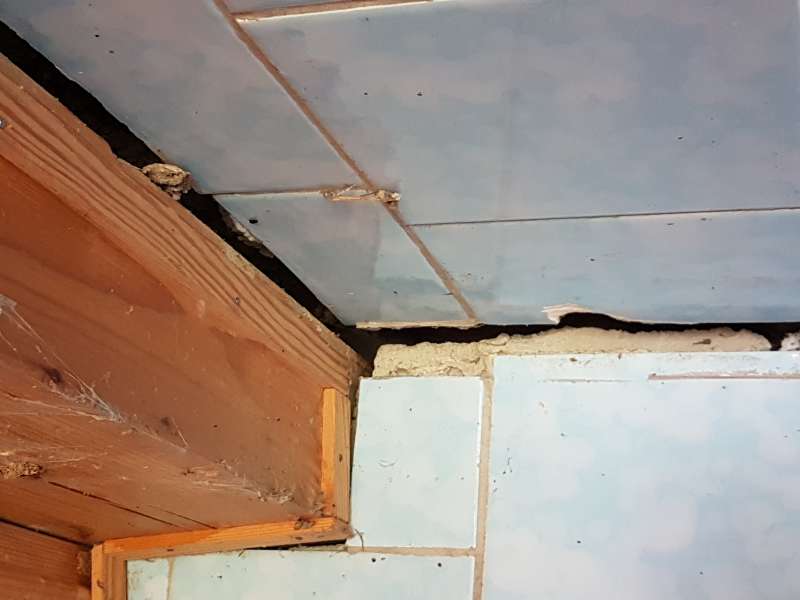 BAU.DE / BAU-Forum: 3. Bild zu Frage "Anbau setzt sich: Ursachen, Sanierungsm&ouml;glichkeiten & Kosten bei Setzrissen?" im BAU-Forum "Modernisierung / Sanierung / Bausch&auml;den"