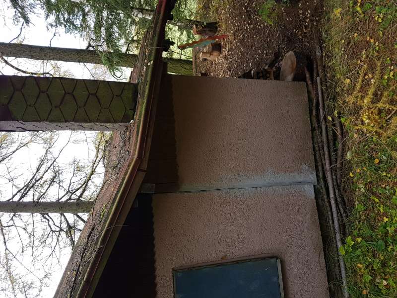 BAU.DE / BAU-Forum: 4. Bild zu Frage "Anbau setzt sich: Ursachen, Sanierungsm&ouml;glichkeiten & Kosten bei Setzrissen?" im BAU-Forum "Modernisierung / Sanierung / Bausch&auml;den"