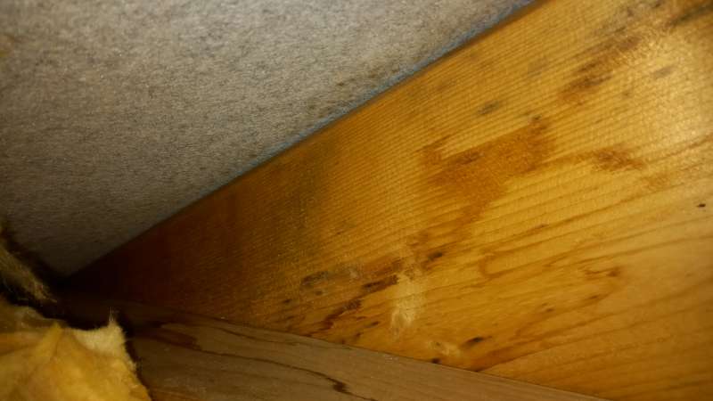 BAU.DE / BAU-Forum: 2. Bild zu Frage "Tauwasser unter Unterspannbahn trotz D&auml;mmung/Dampfbremse: Ursachen, L&ouml;sungen & Gutachter?" im BAU-Forum "Modernisierung / Sanierung / Bausch&auml;den"