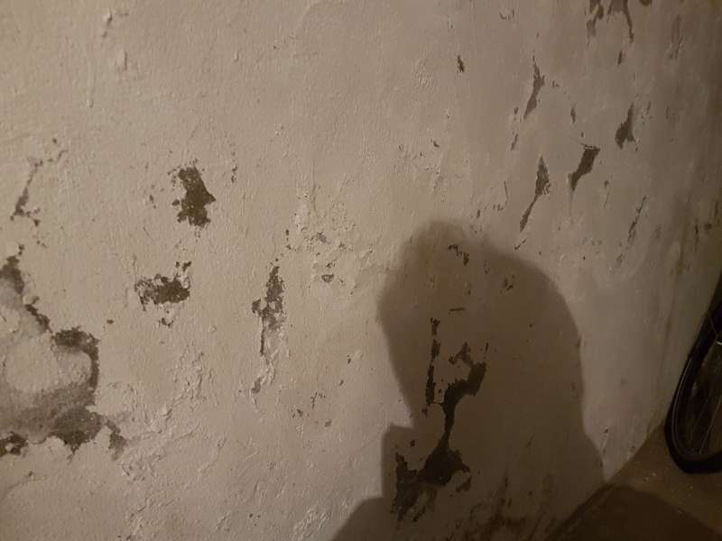 BAU.DE / BAU-Forum: 1. Bild zu Frage "Bruchsteinkeller verputzen/ vormauern" im Forum "Modernisierung / Sanierung / Bausch&auml;den"