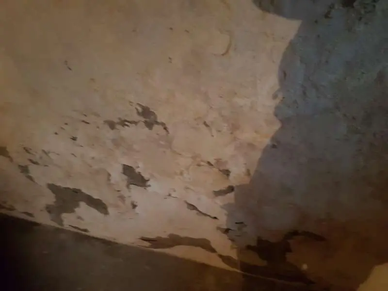 BAU.DE / BAU-Forum: 2. Bild zu Frage "Bruchsteinkeller verputzen/ vormauern" im Forum "Modernisierung / Sanierung / Bausch&auml;den"