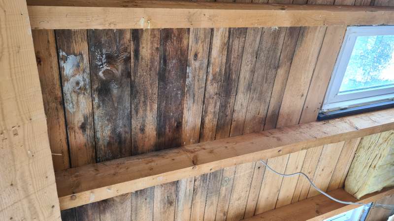 BAU.DE / BAU-Forum: 1. Bild zu Frage "Schimmelbildung aufgrund undichter Dampfbremse: Tipps, Mittel, Vorgehensweise?" im BAU-Forum "Modernisierung / Sanierung / Bausch&auml;den"