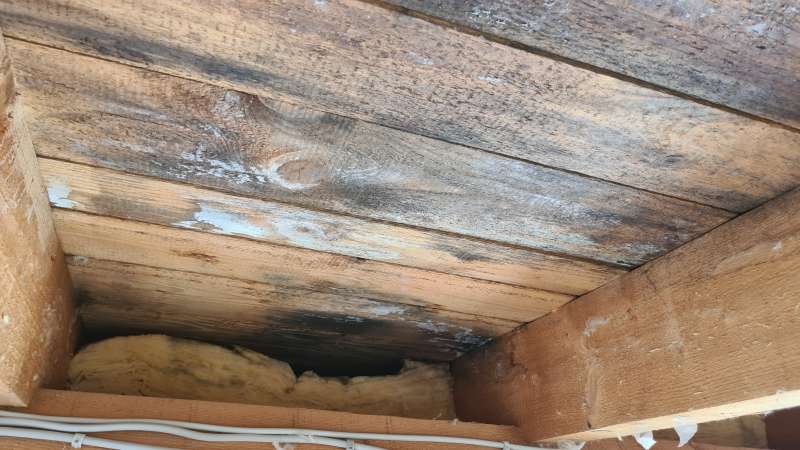 BAU.DE / BAU-Forum: 2. Bild zu Frage "Schimmelbildung aufgrund undichter Dampfbremse: Tipps, Mittel, Vorgehensweise?" im BAU-Forum "Modernisierung / Sanierung / Bausch&auml;den"