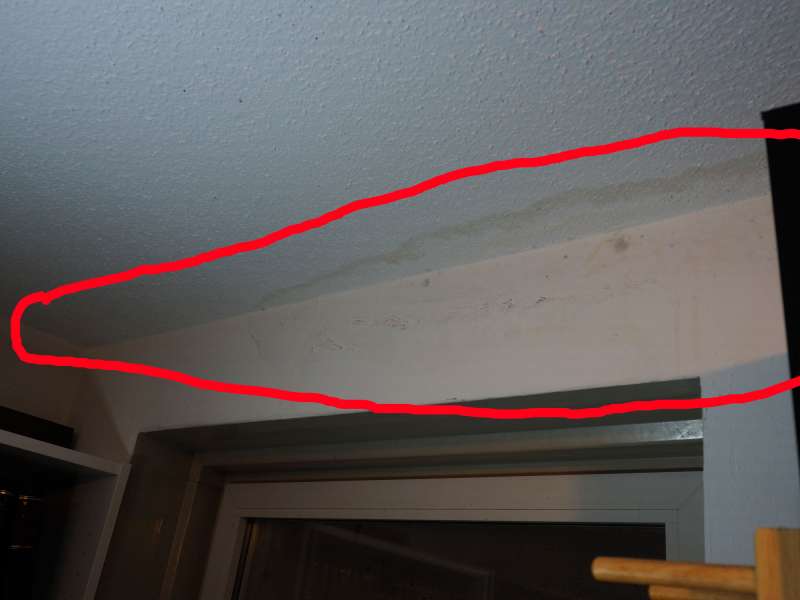 BAU.DE / BAU-Forum: 1. Bild zu Frage "Wasserschaden nach Schneekatastrophe" im BAU-Forum "Modernisierung / Sanierung / Bausch&auml;den"