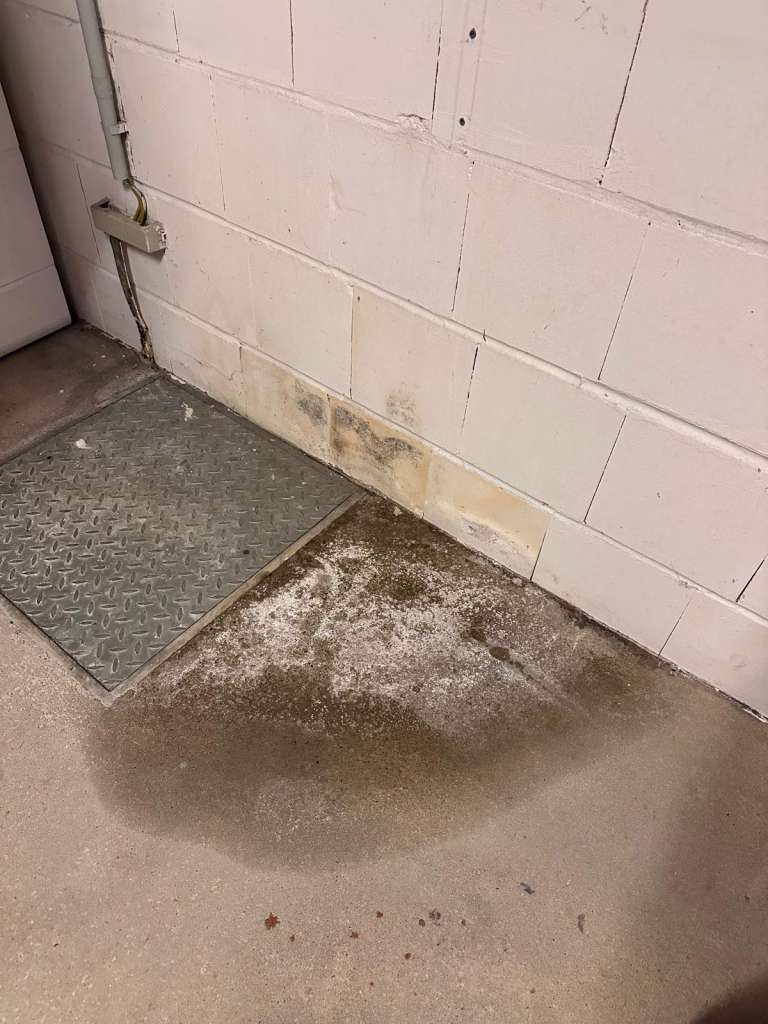 BAU.DE / BAU-Forum: 2. Bild zu Frage "Wasserschaden!! Feuchtigkeit und Schimmel im Keller woher???" im BAU-Forum "Modernisierung / Sanierung / Bausch&auml;den"