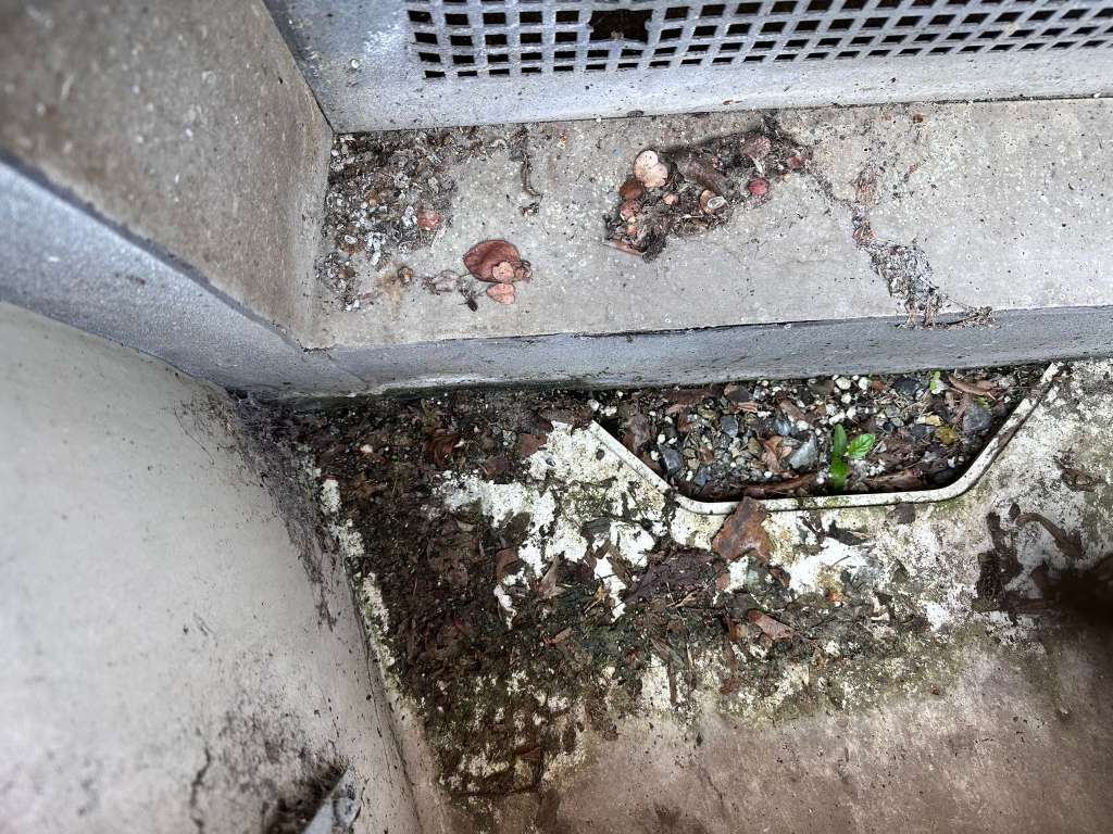 BAU.DE / BAU-Forum: 4. Bild zu Frage "Wasserschaden!! Feuchtigkeit und Schimmel im Keller woher???" im BAU-Forum "Modernisierung / Sanierung / Bausch&auml;den"