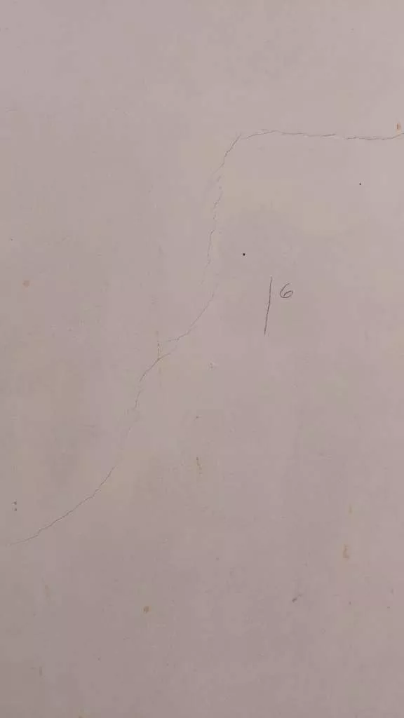 BAU.DE / BAU-Forum: 3. Bild zu Frage "Risse im Innenputz Altbau: Ursachen, Risiken & Sanierungskosten?" im BAU-Forum "Modernisierung / Sanierung / Bausch&auml;den"