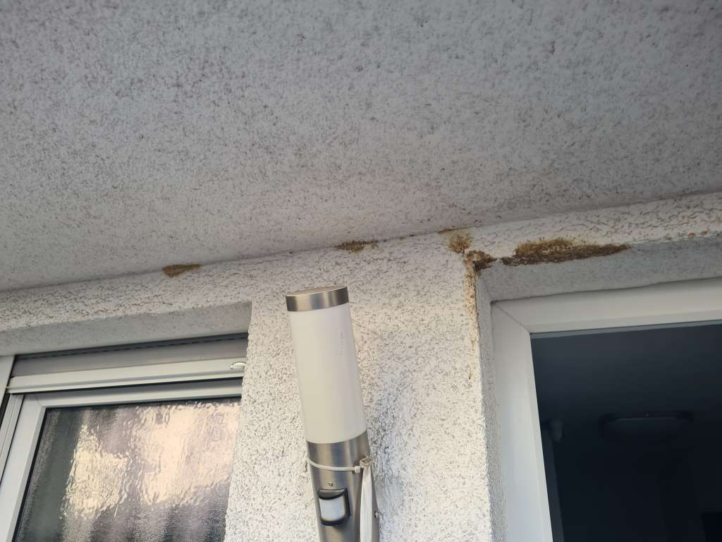 BAU.DE / BAU-Forum: 1. Bild zu Frage "Braunfärbung am Außenputz im Eingangsbereich - Ursachen und Lösungen" im BAU-Forum "Modernisierung / Sanierung / Bausch&auml;den"