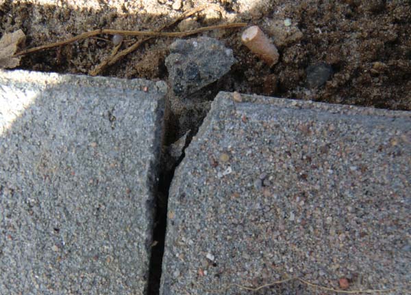 BAU.DE / BAU-Forum: 1. Bild zu Frage "Rasenkantsteine: M&auml;ngel?" im BAU-Forum "Tiefbau und Spezialtiefbau"