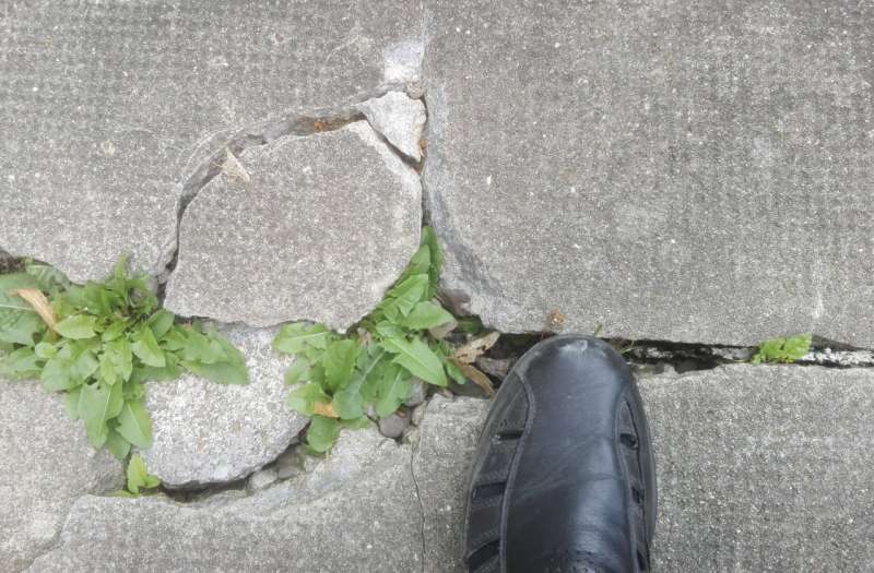 BAU.DE / BAU-Forum: 1. Bild zu Frage "Risse und Spalten im Betonboden der Hoffläche - was tun?" im BAU-Forum "Tiefbau und Spezialtiefbau" BAU.DE / BAU-Forum: 1. Bild zu Frage "Risse und Spalten im Betonboden der Hoffläche - was tun?" im BAU-Forum "Tiefbau und Spezialtiefbau"