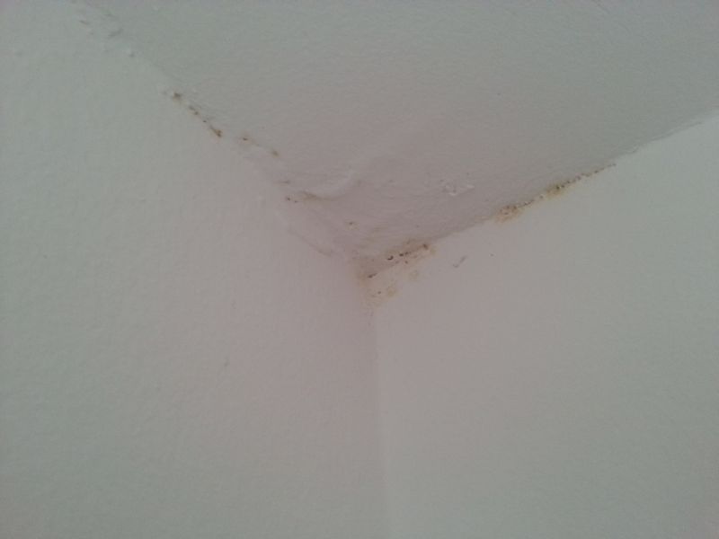 BAU.DE / BAU-Forum: 1. Bild zu Frage "Braune Flecken in Zimmerecke: Schimmel oder Wasserschaden? Ursachen, Abhilfe & Risiken" im BAU-Forum "Wer hat Erfahrung mit" BAU.DE / BAU-Forum: 1. Bild zu Frage "Braune Flecken in Zimmerecke: Schimmel oder Wasserschaden? Ursachen, Abhilfe & Risiken" im BAU-Forum "Wer hat Erfahrung mit"