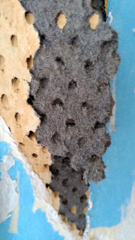 BAU.DE / BAU-Forum: 1. Bild zu Frage "Dunkelgraues Material an Wand im Altbau: Was ist das? Analyse & Gefahren" im BAU-Forum "Wer hat Erfahrung mit"